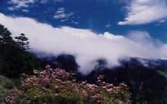 台湾玉山国家公园天气 台湾玉山国家公园天气