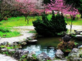 台北阳明山国家公园 台北阳明山国家公园