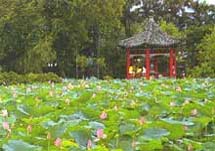 台北植物园天气