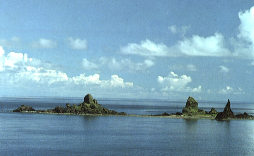 台湾青年公园天气 台湾青年公园天气