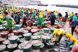 台中梧栖假日鱼市天气 台中梧栖假日鱼市天气