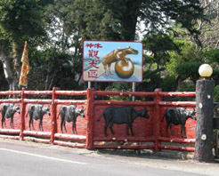 桃园大溪神牛观光区天气 桃园大溪神牛观光区天气