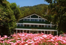 台中孔庙天气 台中孔庙天气