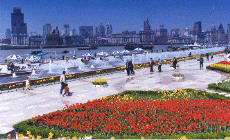 上海滨江大道天气 上海滨江大道天气