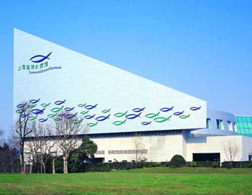 上海海洋水族馆天气 上海海洋水族馆天气