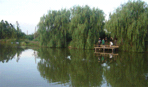 金山施普农业园天气 金山施普农业园天气