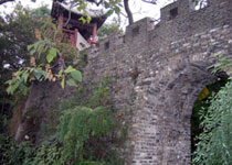 上海川沙古城墙天气 上海川沙古城墙天气