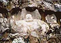 杭州飞来峰天气 杭州飞来峰天气