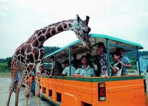 杭州野生动物世界天气 杭州野生动物世界天气
