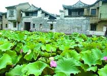 宁波走马塘古村落天气 宁波走马塘古村落天气