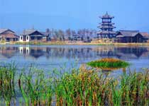 海盐蝴蝶岛天气 海盐蝴蝶岛天气