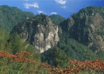 文成铜铃山森林公园天气 文成铜铃山森林公园天气