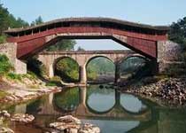 泰顺仙居桥天气 泰顺仙居桥天气