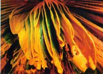 临安瑞晶洞天气 临安瑞晶洞天气