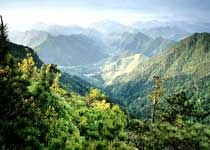 杭州四面峰 杭州四面峰