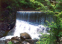 桐庐大奇山国家森林公园天气 桐庐大奇山国家森林公园天气