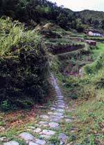 龙泉青瓷窑址天气 龙泉青瓷窑址天气