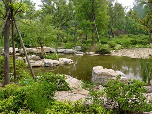 上海滨江森林公园天气 上海滨江森林公园天气