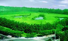 上海宝钢集团天气 上海宝钢集团天气