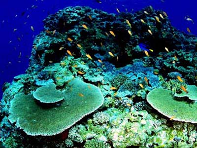 杭州海底世界天气 杭州海底世界天气