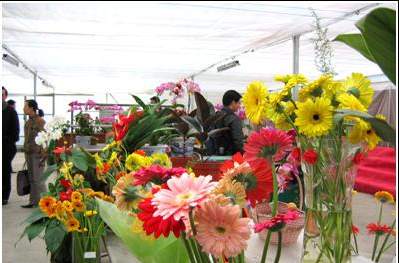 浙江农业高科技示范园区天气 浙江农业高科技示范园区天气