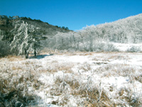 临安火山大石谷天气 临安火山大石谷天气