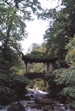 临安天目山天气 临安天目山天气