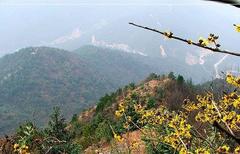 宁波巾子山天气 宁波巾子山天气