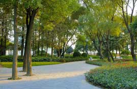 宁波绿岛公园天气 宁波绿岛公园天气