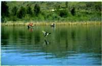 宁波都市农业园区天气 宁波都市农业园区天气