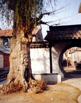 嘉兴坟浜弄天气 嘉兴坟浜弄天气