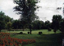 嘉兴人民公园天气 嘉兴人民公园天气