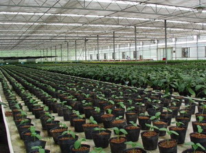 绍兴方圆农业观光园天气 绍兴方圆农业观光园天气