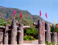 绍兴新昌硅化木地质公园天气 绍兴新昌硅化木地质公园天气