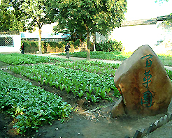 绍兴百草园天气 绍兴百草园天气