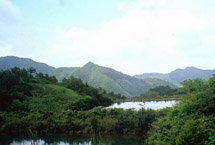 金华磐安高姥山天气 金华磐安高姥山天气