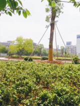 金华双溪公园天气 金华双溪公园天气