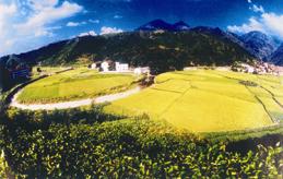 金华俞源太极星象村天气 金华俞源太极星象村天气