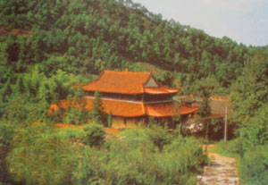 金华龙盘寺天气 金华龙盘寺天气