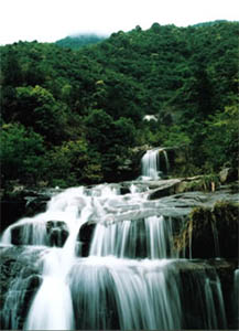 衢州钱江源国家森林公园天气 衢州钱江源国家森林公园天气