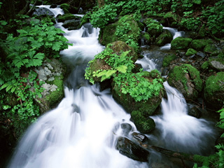 衢州开化古田山自然保护区天气 衢州开化古田山自然保护区天气