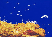 舟山五峙山天气 舟山五峙山天气