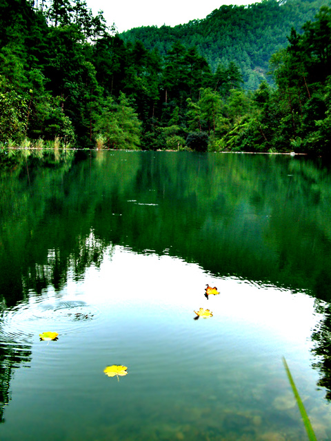 丽水莲都白云山天气 丽水莲都白云山天气