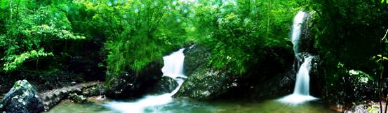 丽水遂昌飞石岭天气 丽水遂昌飞石岭天气