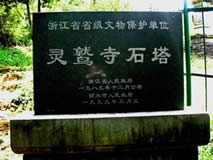 丽水灵鹫寺石塔天气 丽水灵鹫寺石塔天气