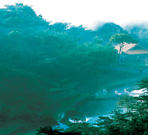 台州塔头天气 台州塔头天气