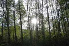 台州白云山天气 台州白云山天气