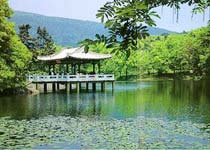 南京流徽榭天气 南京流徽榭天气