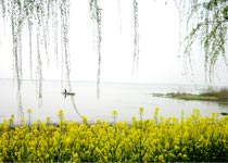 苏州阳澄湖莲花岛天气 苏州阳澄湖莲花岛天气