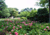 扬州茱萸湾风景区天气 扬州茱萸湾风景区天气